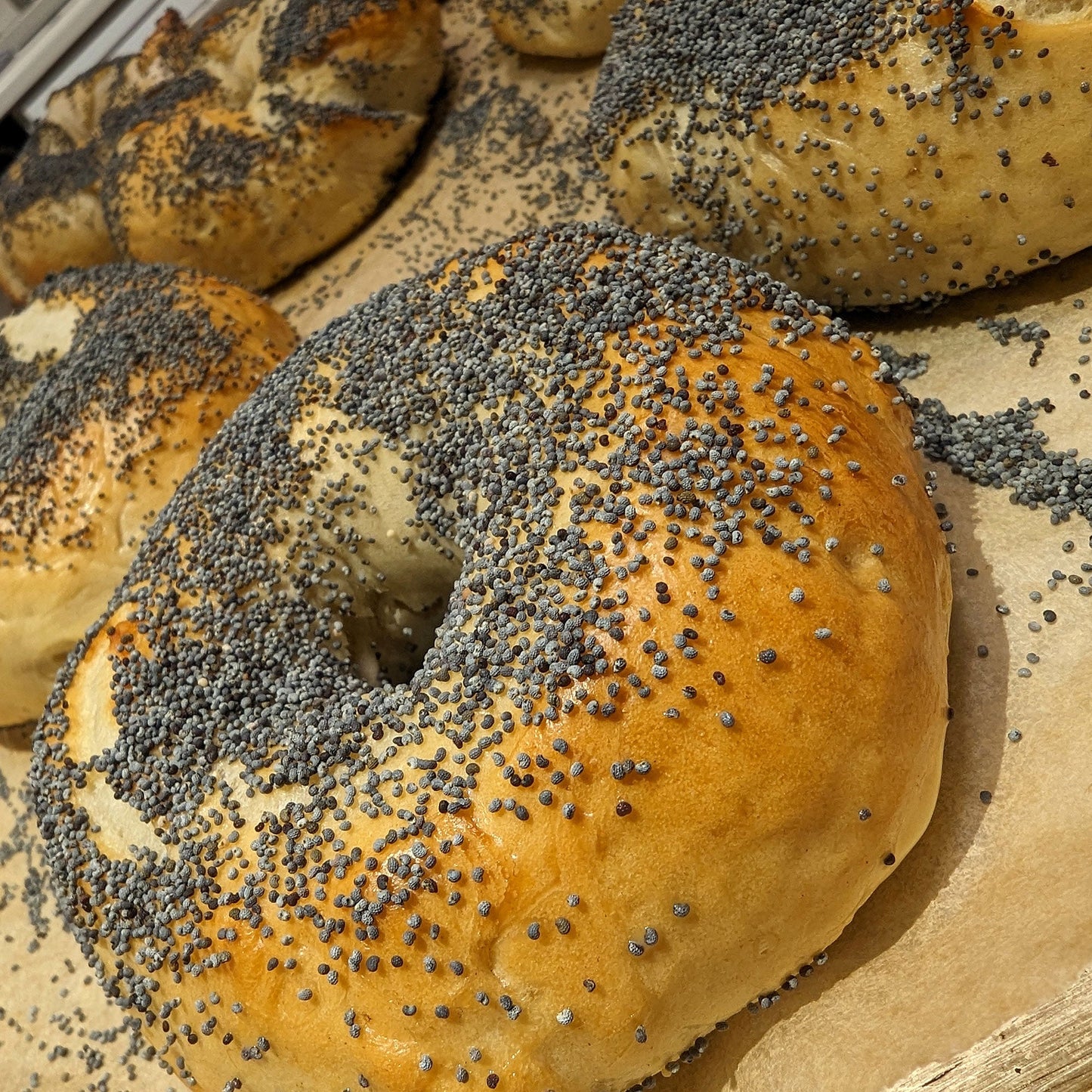 Sourdough Bagels & Homemade Cream Cheese Workshop August 23, 10AM–1 PM