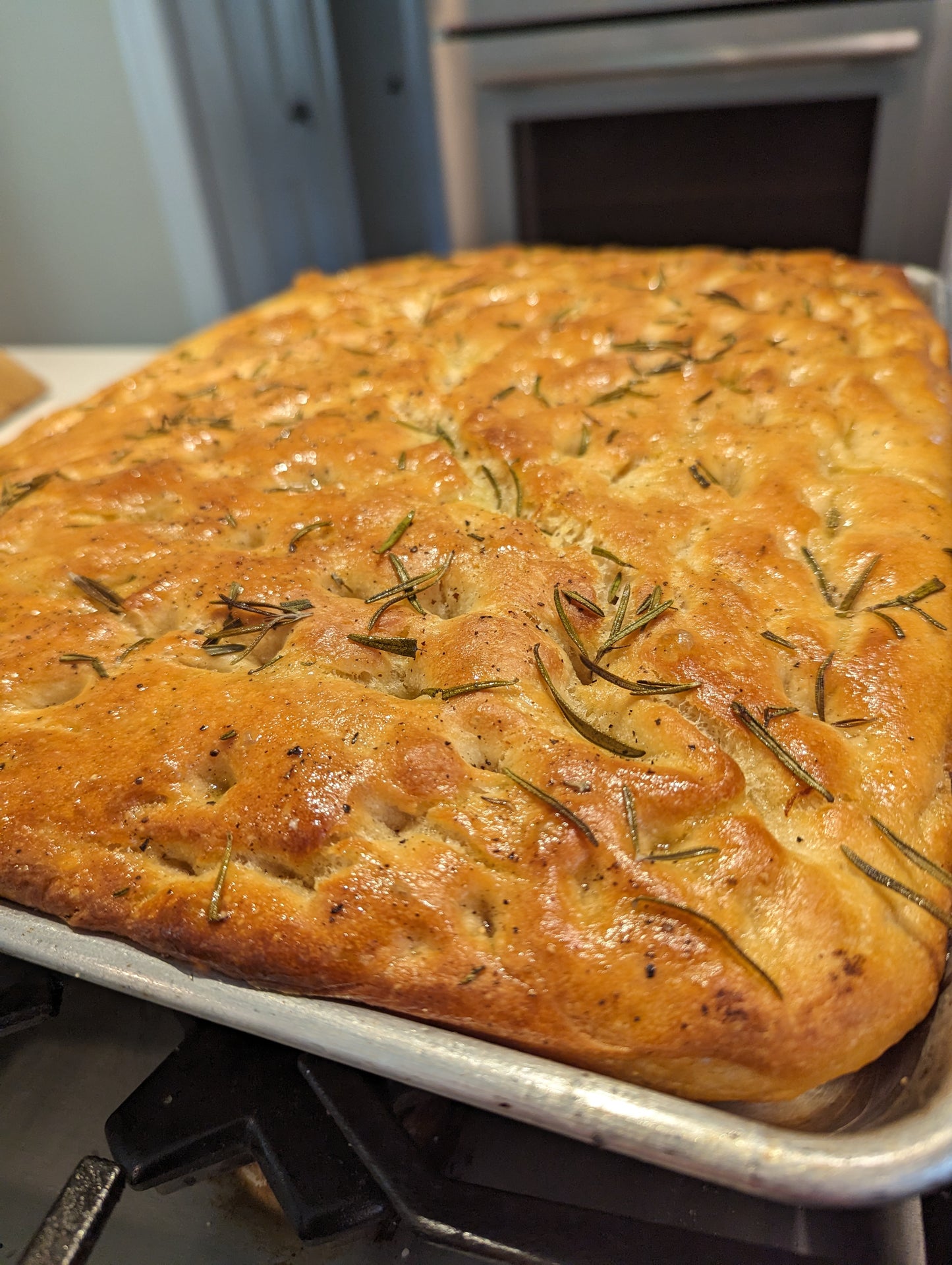 Sourdough Focaccia & Fresh Ricotta Workshop August 22, 4–7 PM