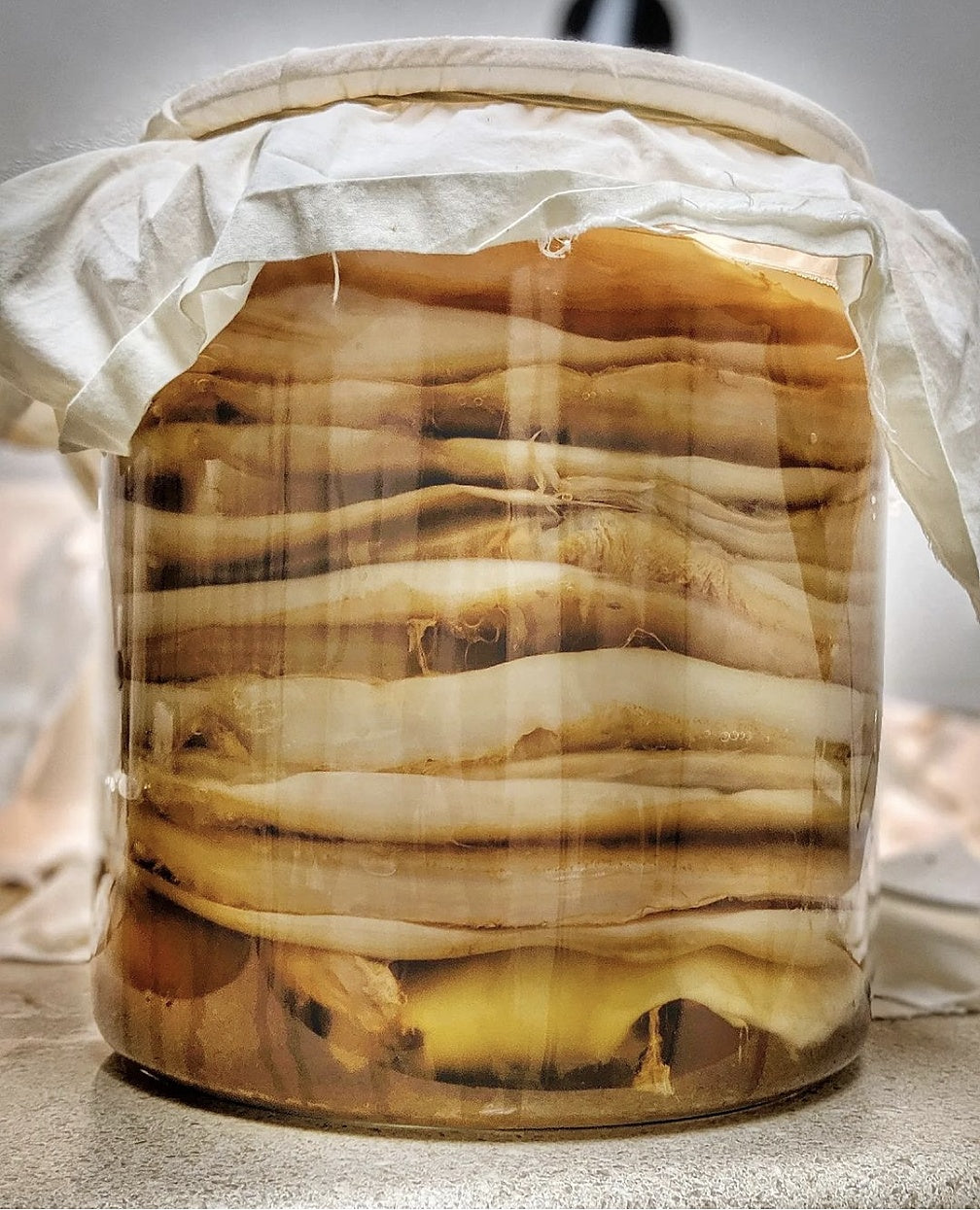 Kombucha Brewing August 1, 4–6 PM
