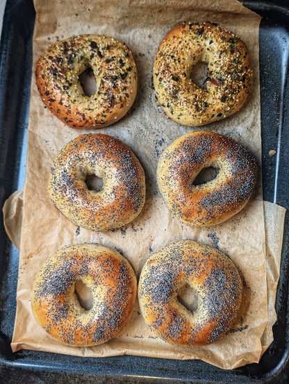 Bagels, Schmears, and Gravlax Workshop 3/22 10am–1pm