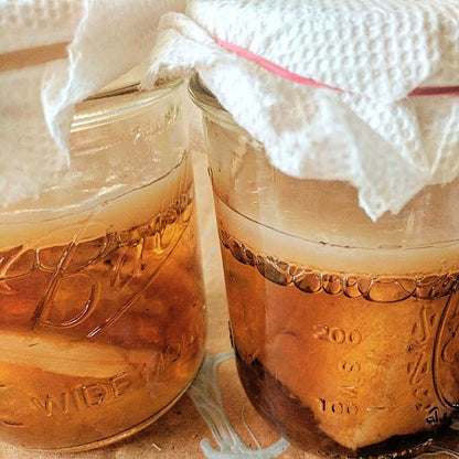 Kombucha Brewing August 1, 4–6 PM